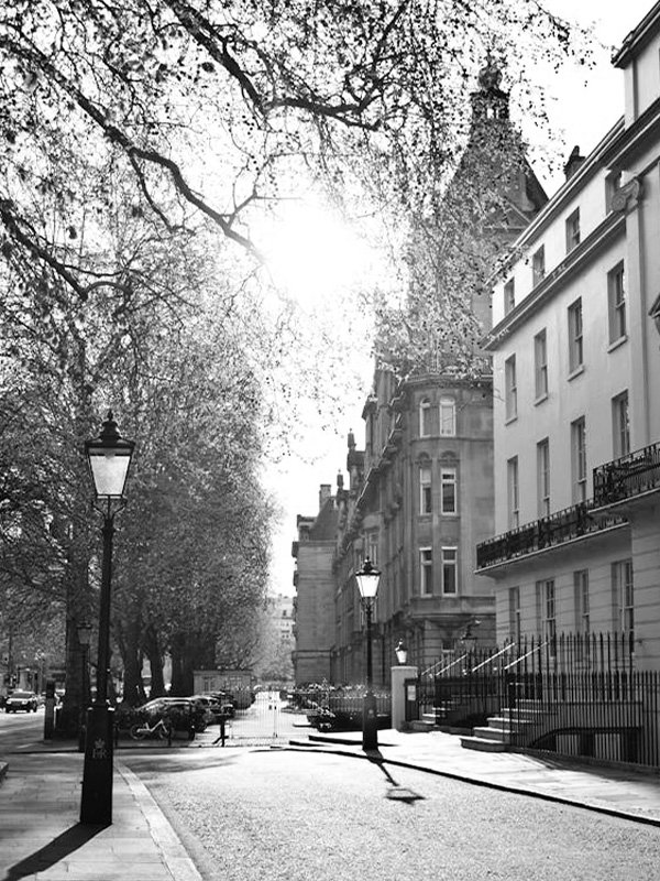 pexels-timea-kadar-860778-2214035 Scenic view of a historic street in London with classic architecture, trees, and lampposts in black and white. Sunlight filters through the branches, illuminating the tranquil urban setting.